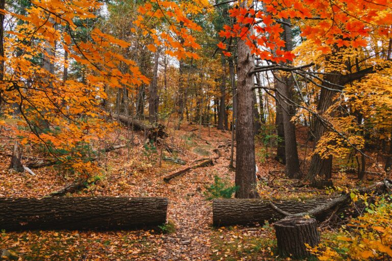 Hiking in Massachusetts — Trails That Don’t Require Driving Three Hours to Find Them